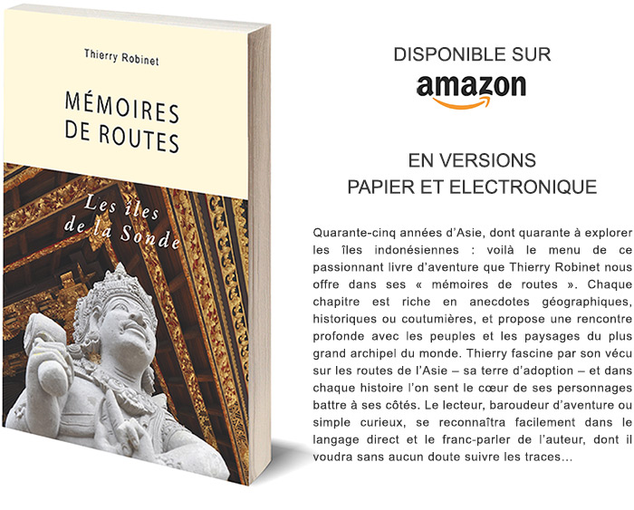 memoires-de-routes-les-iles-de-la-sonde-amazon